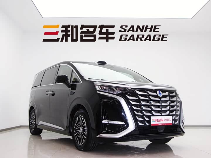 Фото 3 - Denza D9