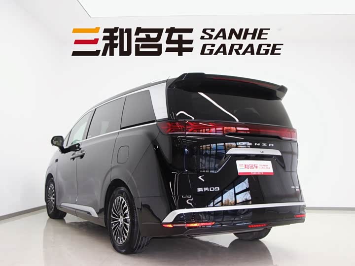 Фото 7 - Denza D9