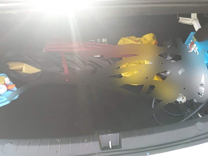 Фото 4 - BYD Qin Plus