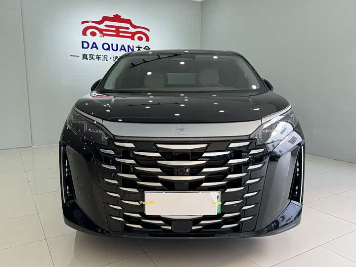 Фото 2 - BYD Xia