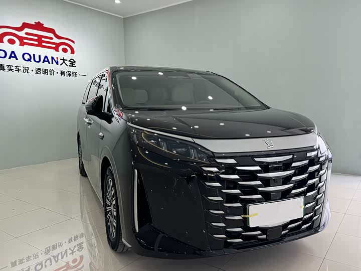 Фото 3 - BYD Xia