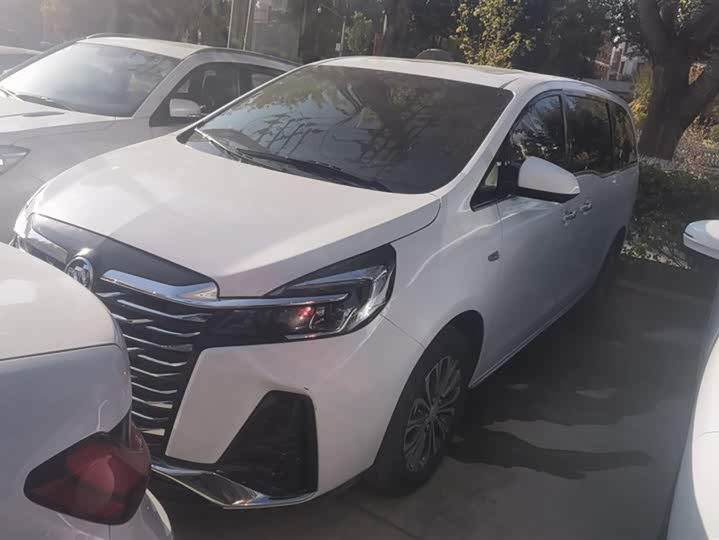 Фото 1 - Buick GL8 ES