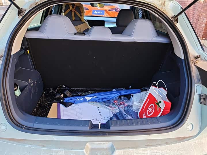 Фото 4 - Geely Geometry E Firefly