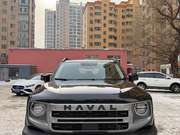 Фото 2 - Haval Dargo