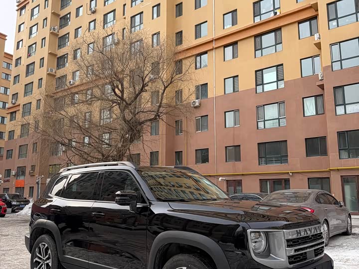 Фото 3 - Haval Dargo