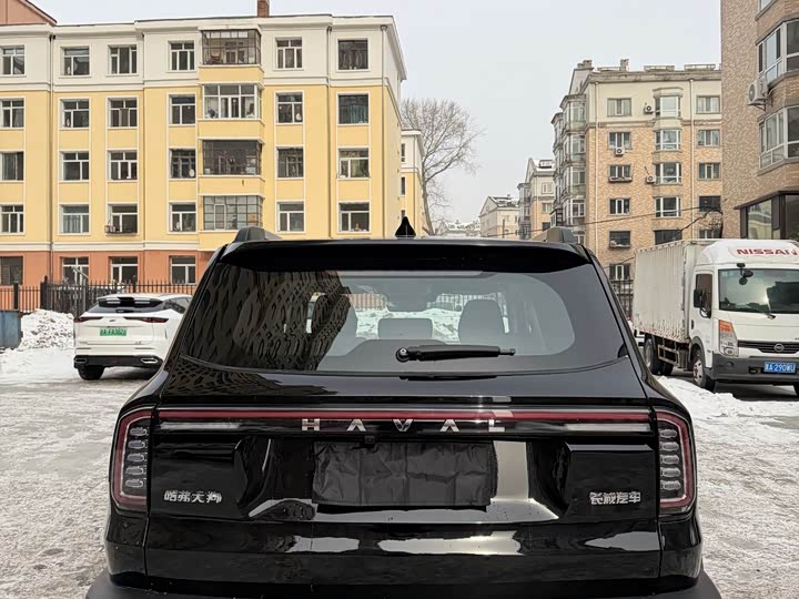 Фото 8 - Haval Dargo