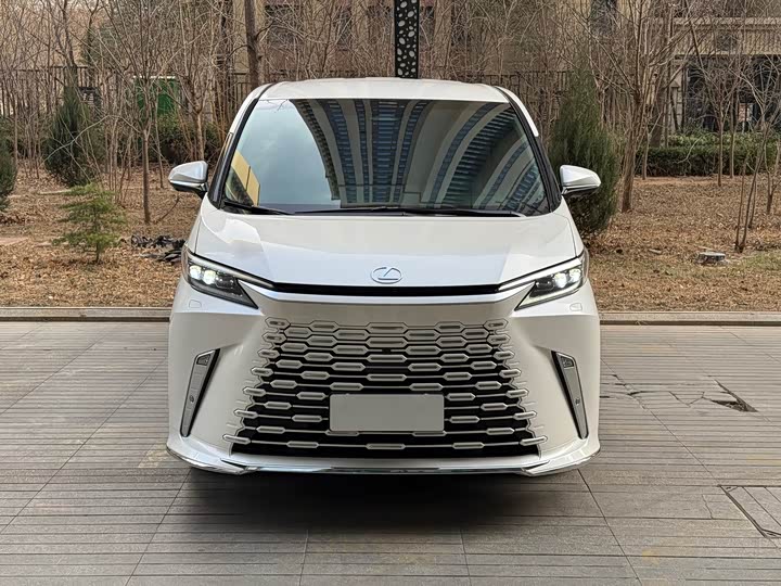 Фото 2 - Lexus LM