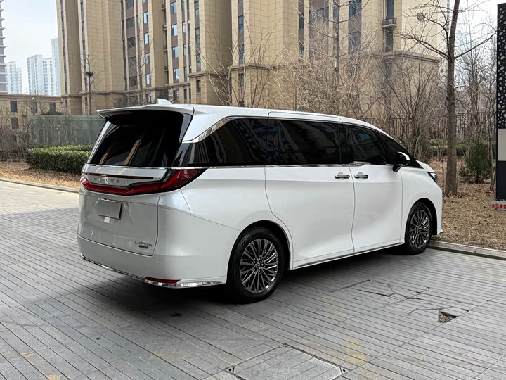 Фото 6 - Lexus LM