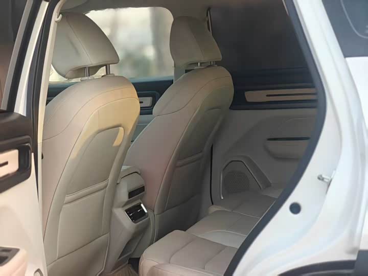 Фото 6 - Geely Icon