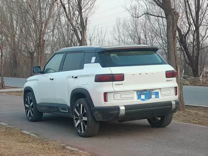 Фото 7 - Geely Icon