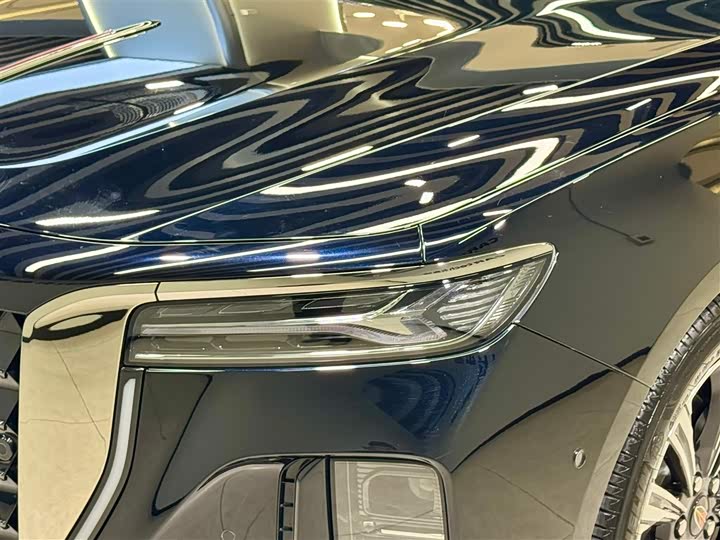 Фото 8 - Hongqi H9