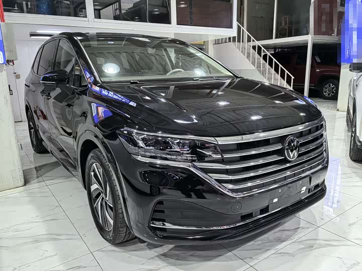 Фото 3 - Volkswagen Viloran