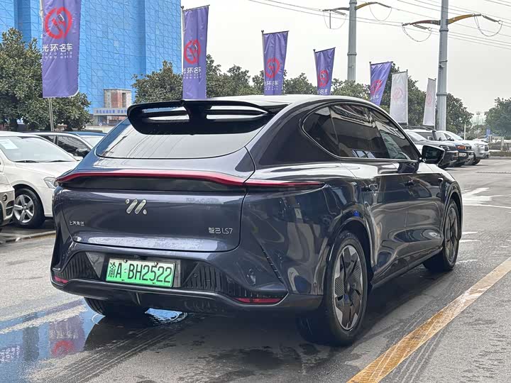 Фото 4 - IM motors LS7