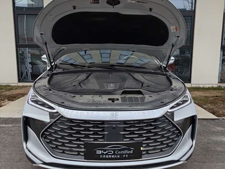 Фото 2 - BYD Tang Hybrid/EV