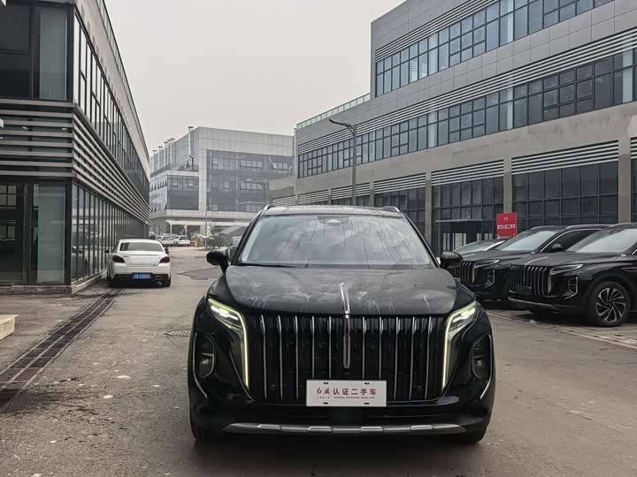 Фото 2 - Hongqi HS7 Hybrid