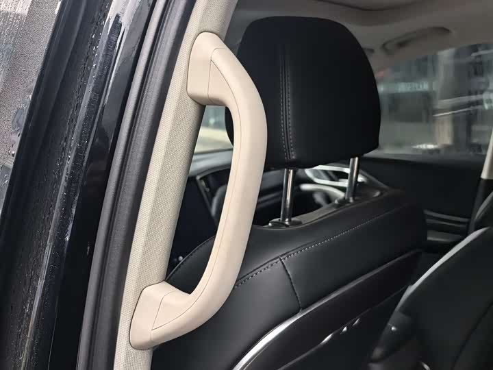 Фото 7 - Hongqi HS7 Hybrid