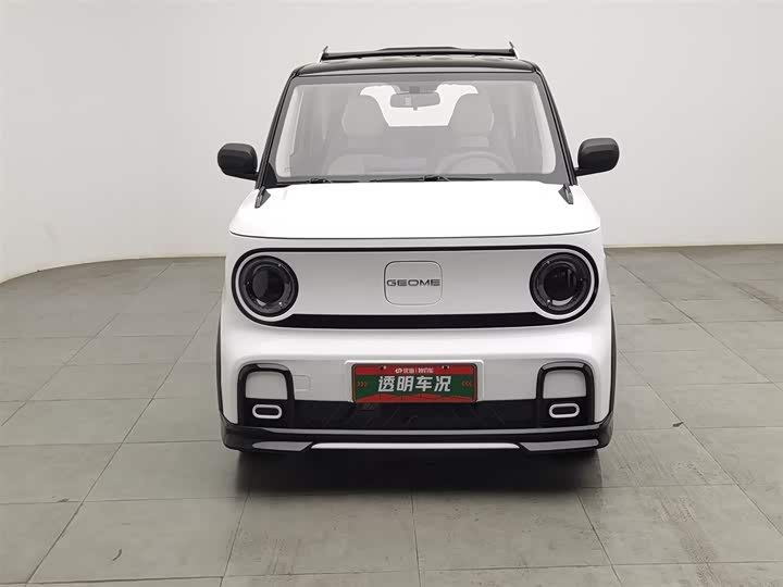 Фото 3 - Geely Galaxy Panda Mini