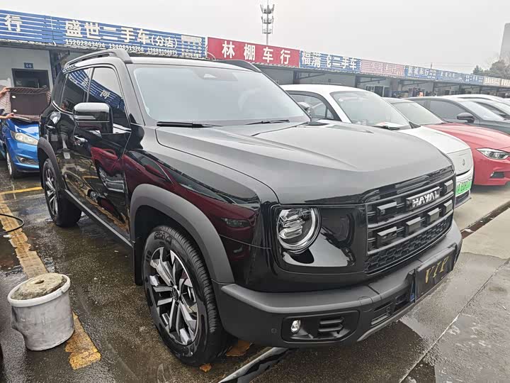 Фото 3 - Haval Dargo