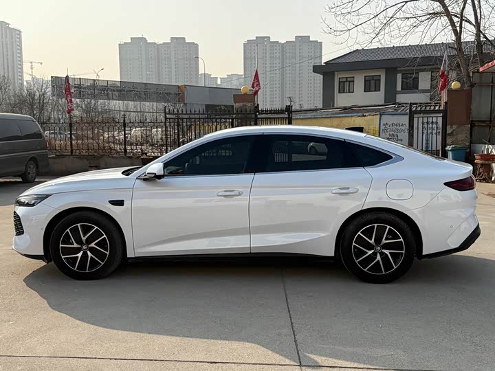 Фото 8 - BYD Qin L