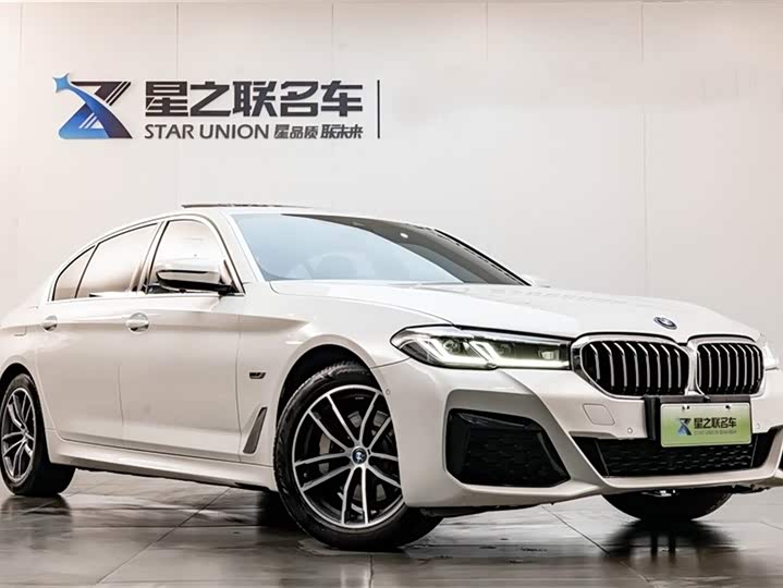 Фото 5 - BMW 5 Series Hybrid