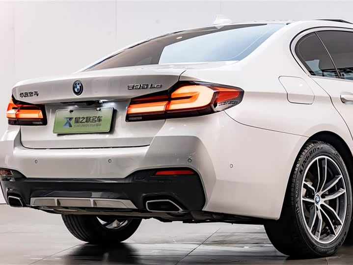 Фото 8 - BMW 5 Series Hybrid