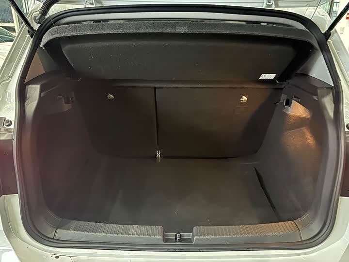 Фото 9 - Volkswagen Tacqua