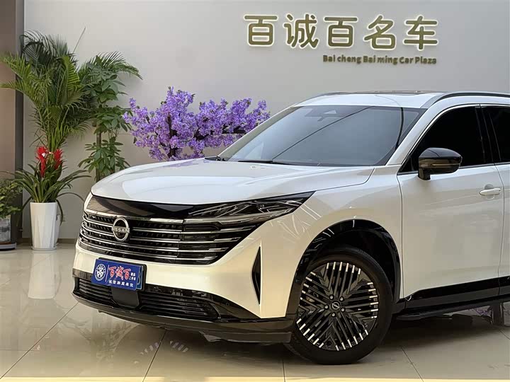 Фото 2 - Nissan Pathfinder