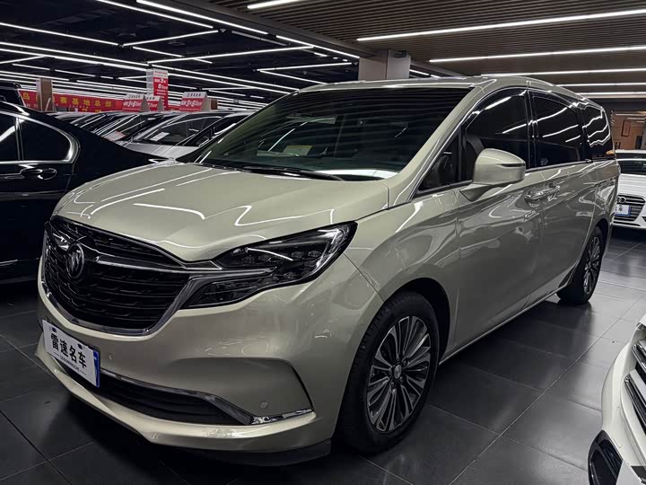 Фото 1 - Buick GL8 ES