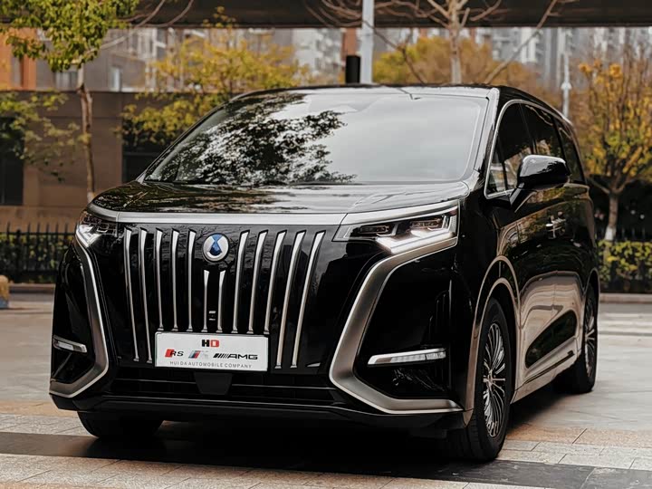 Фото 1 - Denza D9