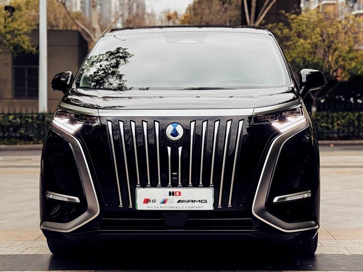 Фото 2 - Denza D9