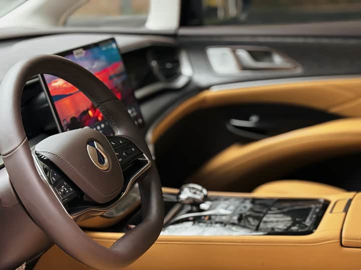 Фото 4 - Denza D9