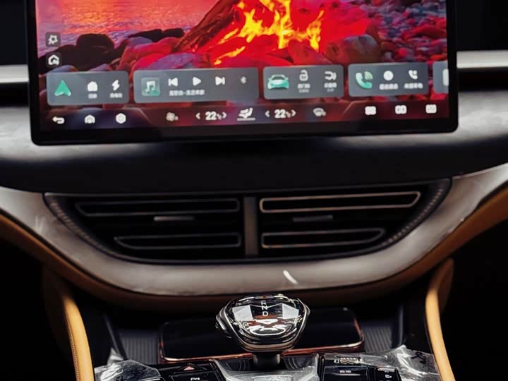 Фото 9 - Denza D9