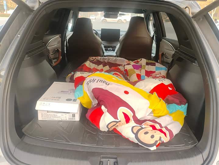 Фото 4 - BYD Song Pro Hybrid