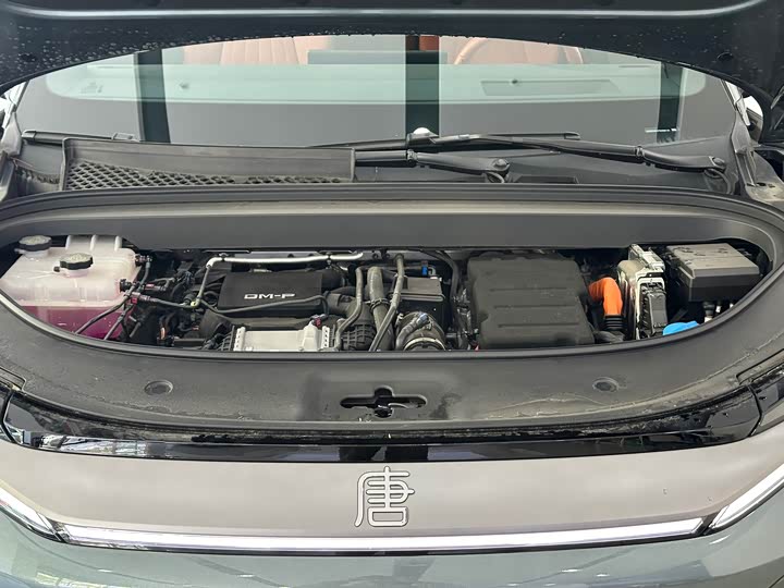 Фото 4 - BYD Tang L