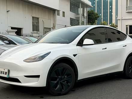 Фото 1 - Tesla Model Y