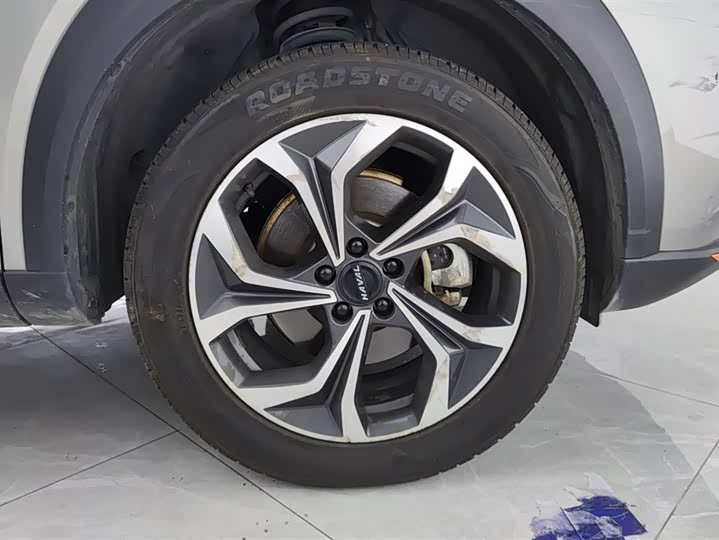 Фото 6 - Haval F7 (Monster)