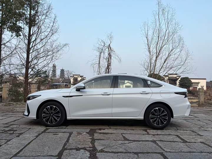 Фото 4 - Chery Fulwin A8