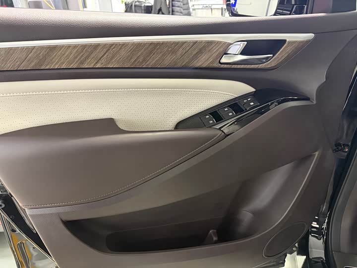GAC Trumpchi M8 2021 2021款 领秀系列 390T 至尊版