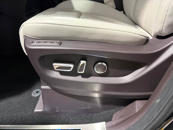 GAC Trumpchi M8 2021 2021款 领秀系列 390T 至尊版