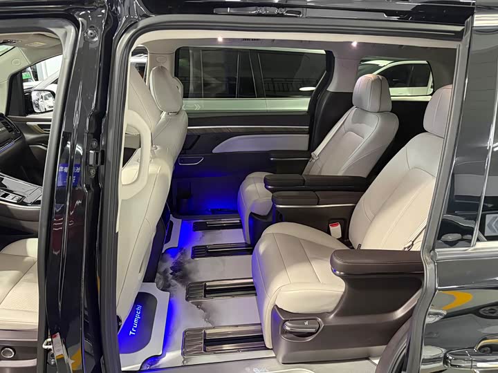 GAC Trumpchi M8 2021 2021款 领秀系列 390T 至尊版
