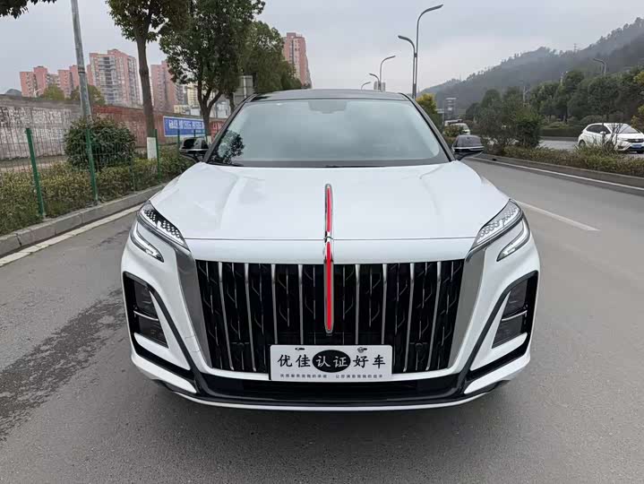 Фото 2 - Hongqi HS3
