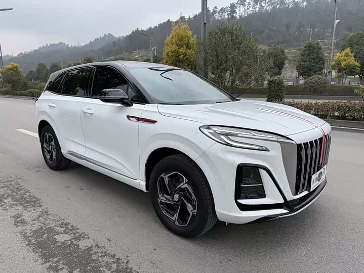 Фото 3 - Hongqi HS3