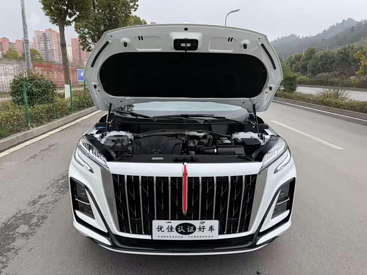 Фото 8 - Hongqi HS3