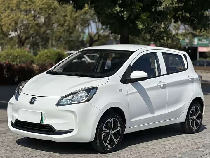 Фото 1 - Changan BenBen E-Star