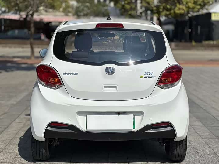 Фото 8 - Changan BenBen E-Star