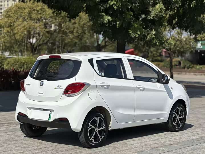 Фото 9 - Changan BenBen E-Star