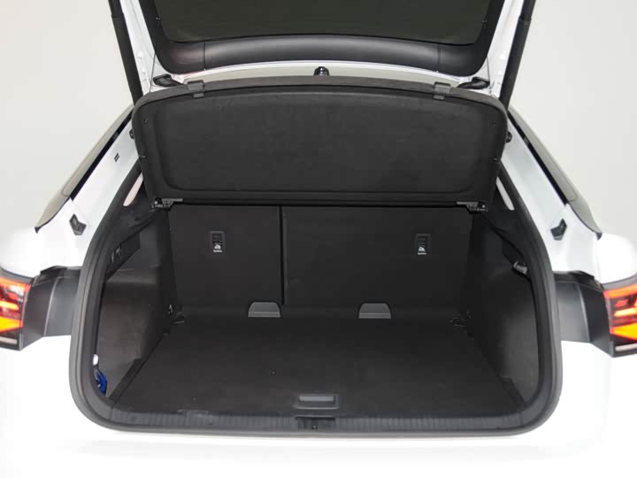 Фото 7 - Volkswagen Tiguan X