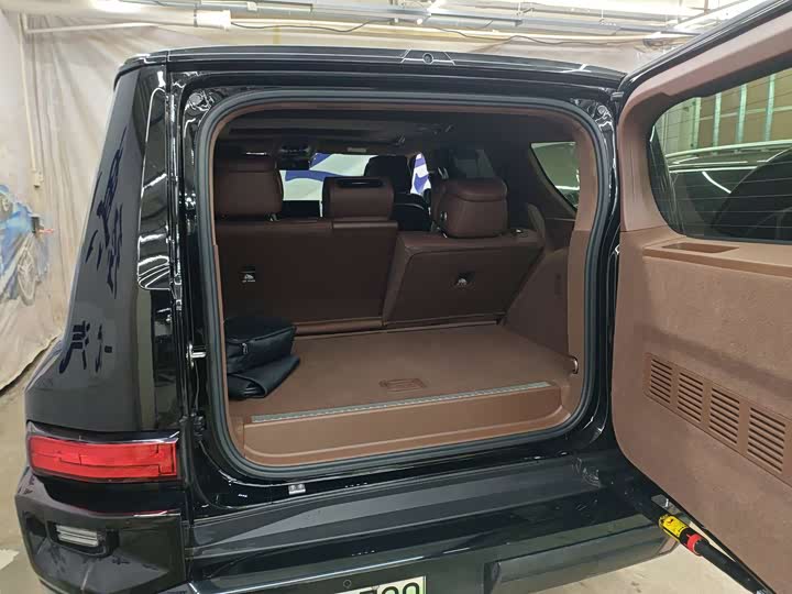 Фото 2 - Tank 700 Hybrid