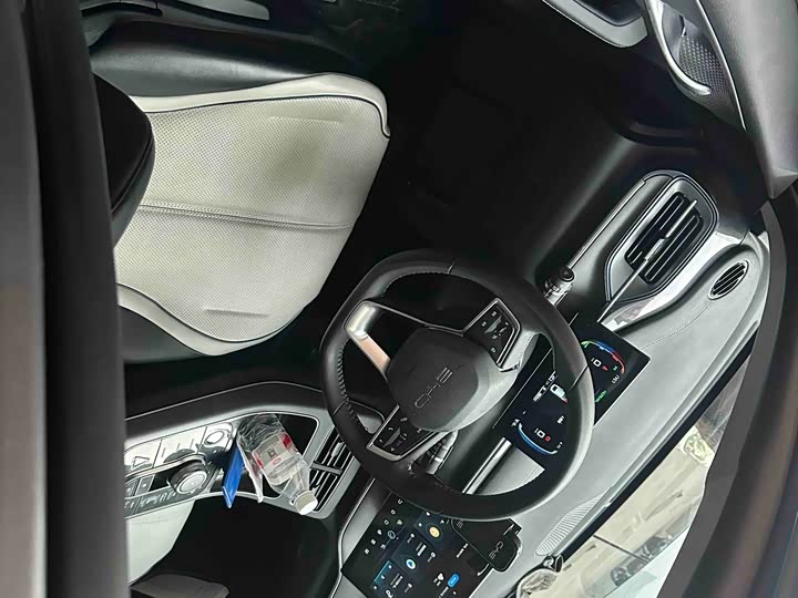 Фото 4 - BYD Destroyer 05