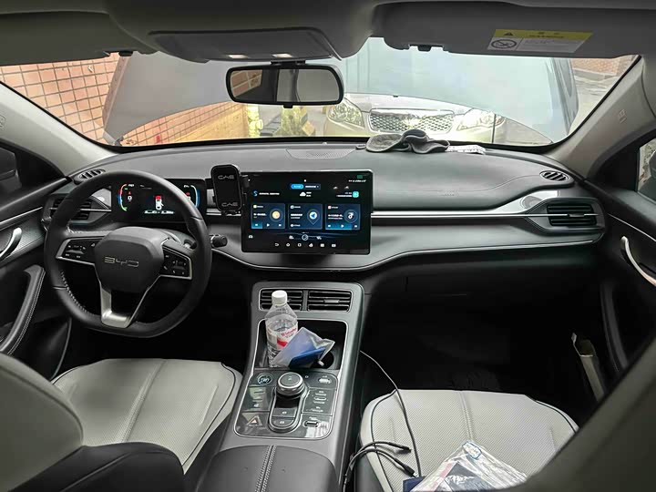 Фото 6 - BYD Destroyer 05